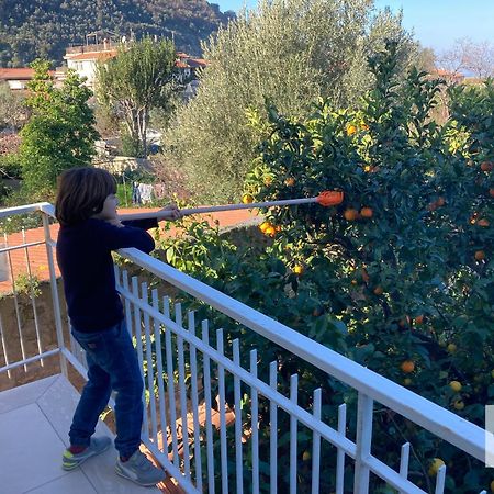 La Terrazza Family Holidays - Sorrento Coast Sant'Agnello Buitenkant foto