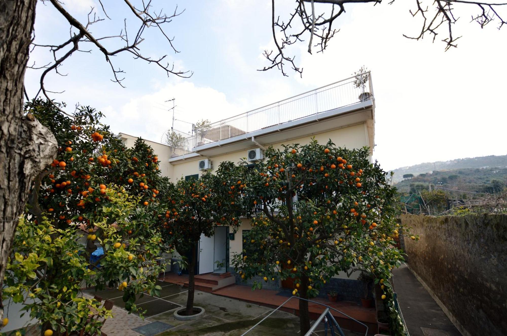 La Terrazza Family Holidays - Sorrento Coast Sant'Agnello Buitenkant foto