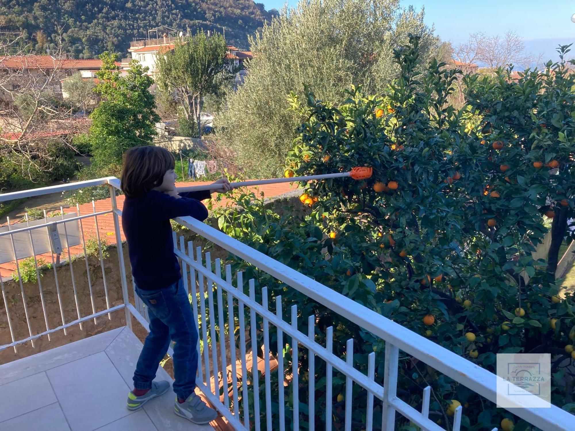 La Terrazza Family Holidays - Sorrento Coast Sant'Agnello Buitenkant foto
